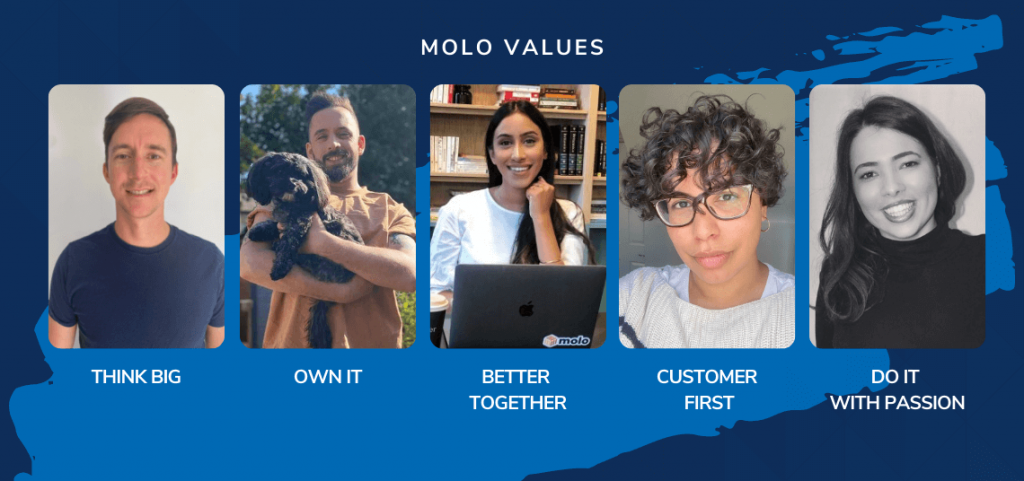Molo Values - Molo Finance