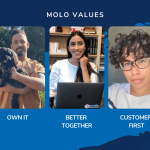 Molo Values - Molo Finance
