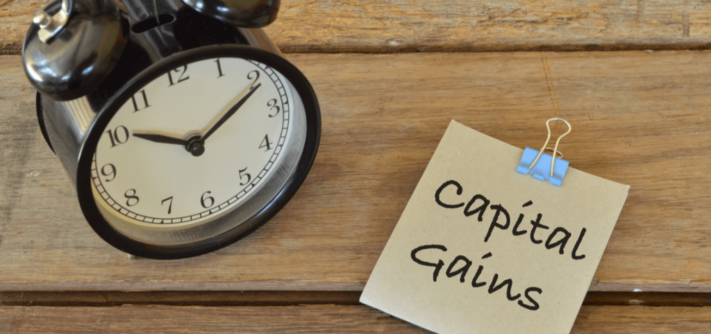Capital Gains - Molo Finance