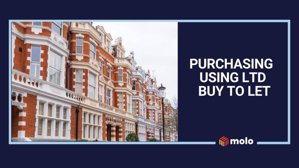 Purchasing using a LTD buy to let mortgage