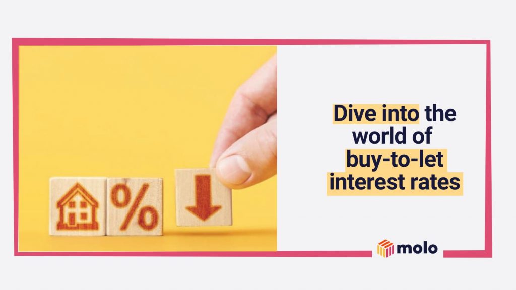 dive into the world of buy to let interest rates